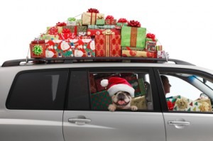 Holiday Driving