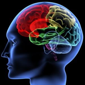 Brain Injury Lawyer