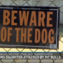 Tanner Smith Mauled by Dogs