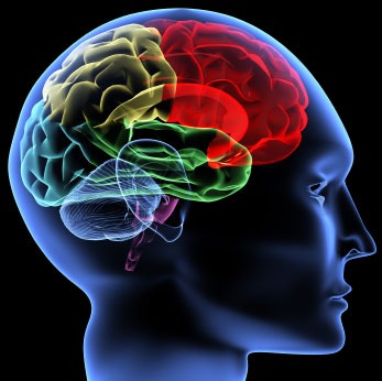 Dallas Brain Injury Lawyer