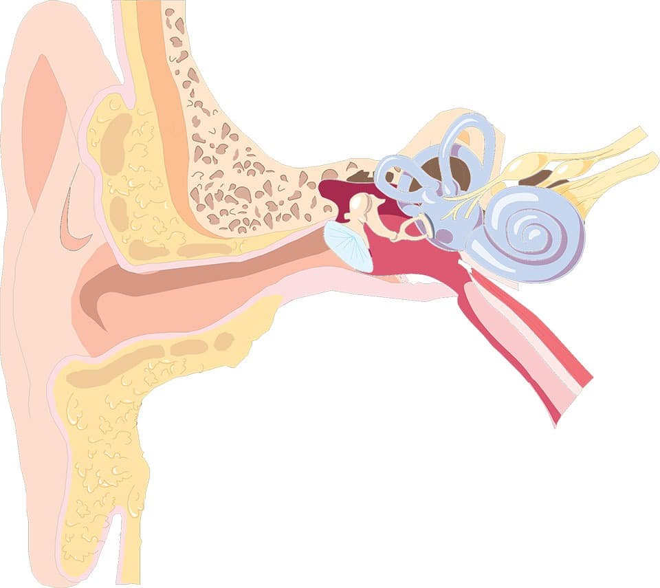 Dallas Hearing Loss Deafness Lawyer