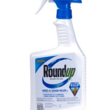 24 fl oz Bottle of Roundup brand weed killer